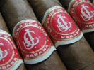 La Flor de Cano photo